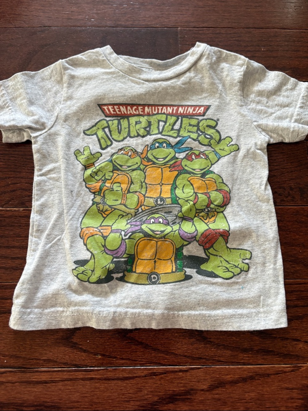 Teenage Mutant Ninja Turtles Graphic Tee - Grey